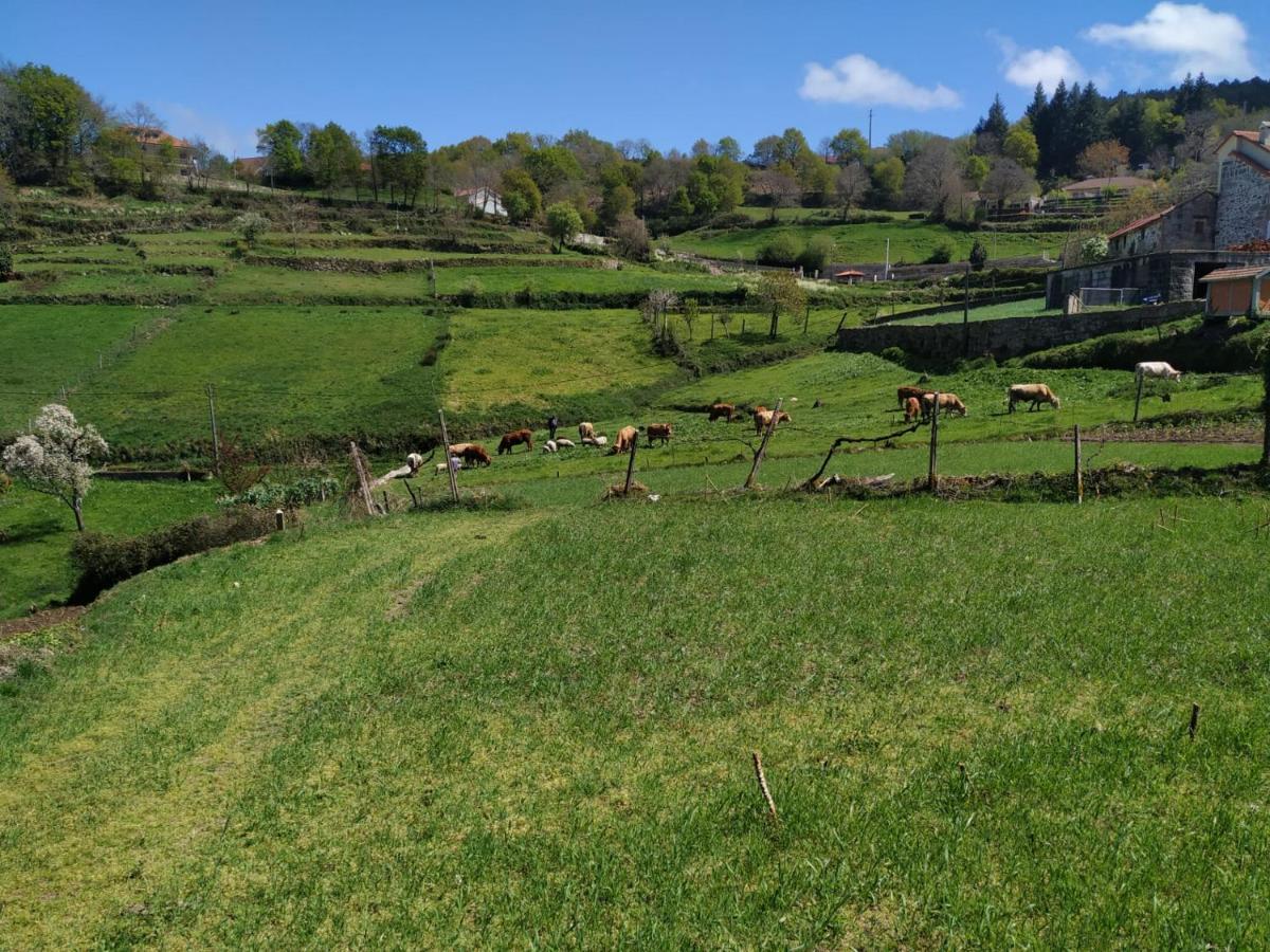 Pe Na Aldeia Villa Outeiro  Dış mekan fotoğraf