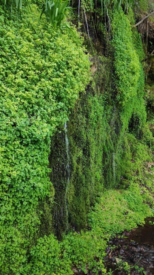 Pe Na Aldeia Villa Outeiro  Dış mekan fotoğraf