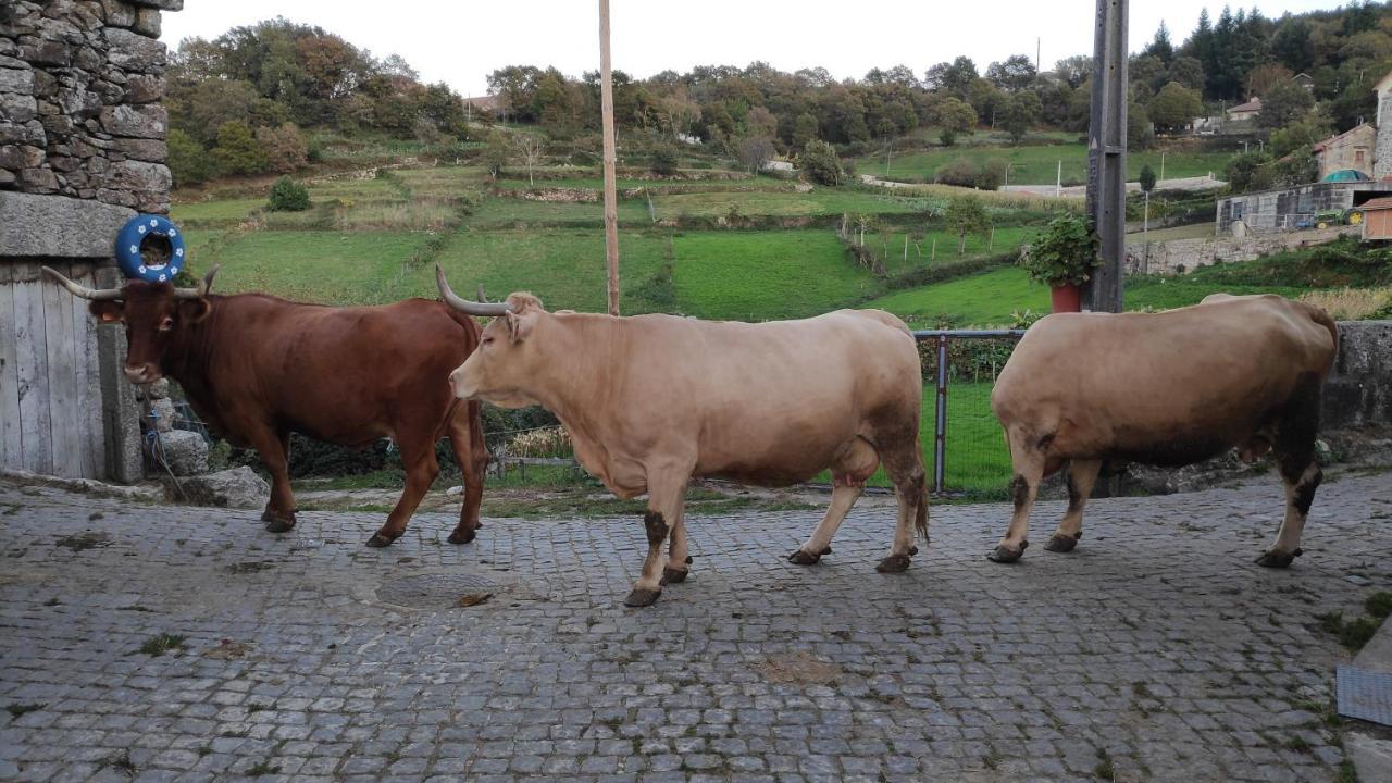 Pe Na Aldeia Villa Outeiro  Dış mekan fotoğraf