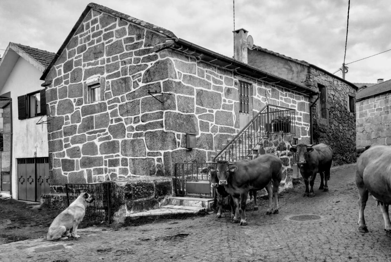 Pe Na Aldeia Villa Outeiro  Dış mekan fotoğraf