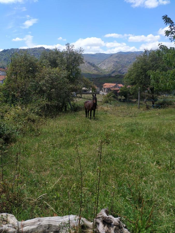 Pe Na Aldeia Villa Outeiro  Dış mekan fotoğraf