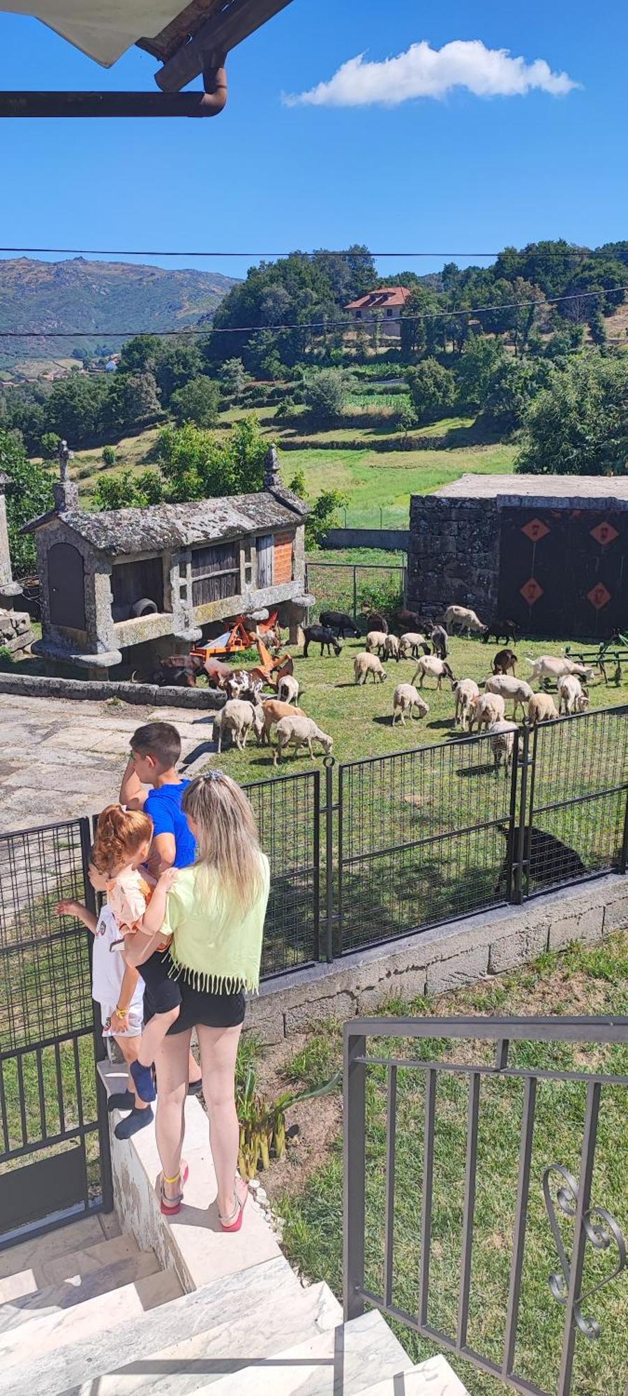 Pe Na Aldeia Villa Outeiro  Dış mekan fotoğraf